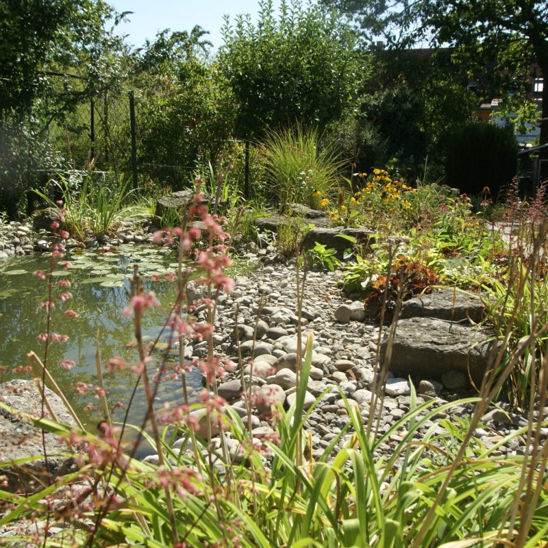 Begrünte Gartenteichanlage.